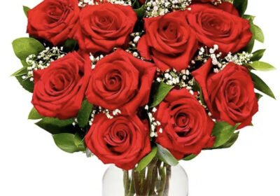 4DDB2237-447F-4DFA-8D62-C27D6360C262